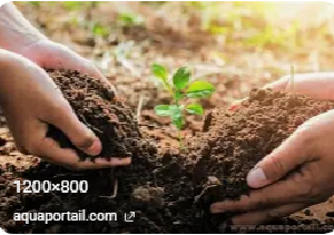 Read more about the article Hello world!